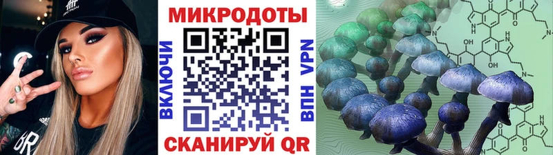 как найти закладки  Никольское  Псилоцибиновые грибы прущие грибы 
